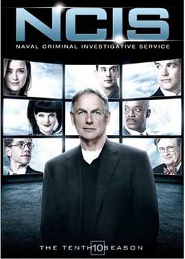 海军罪案调查处第十季第17集