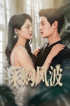 采购风波(全集)