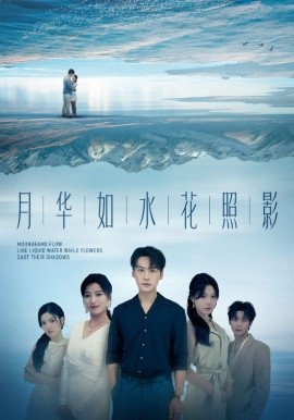 月华如水花照影(全集)
